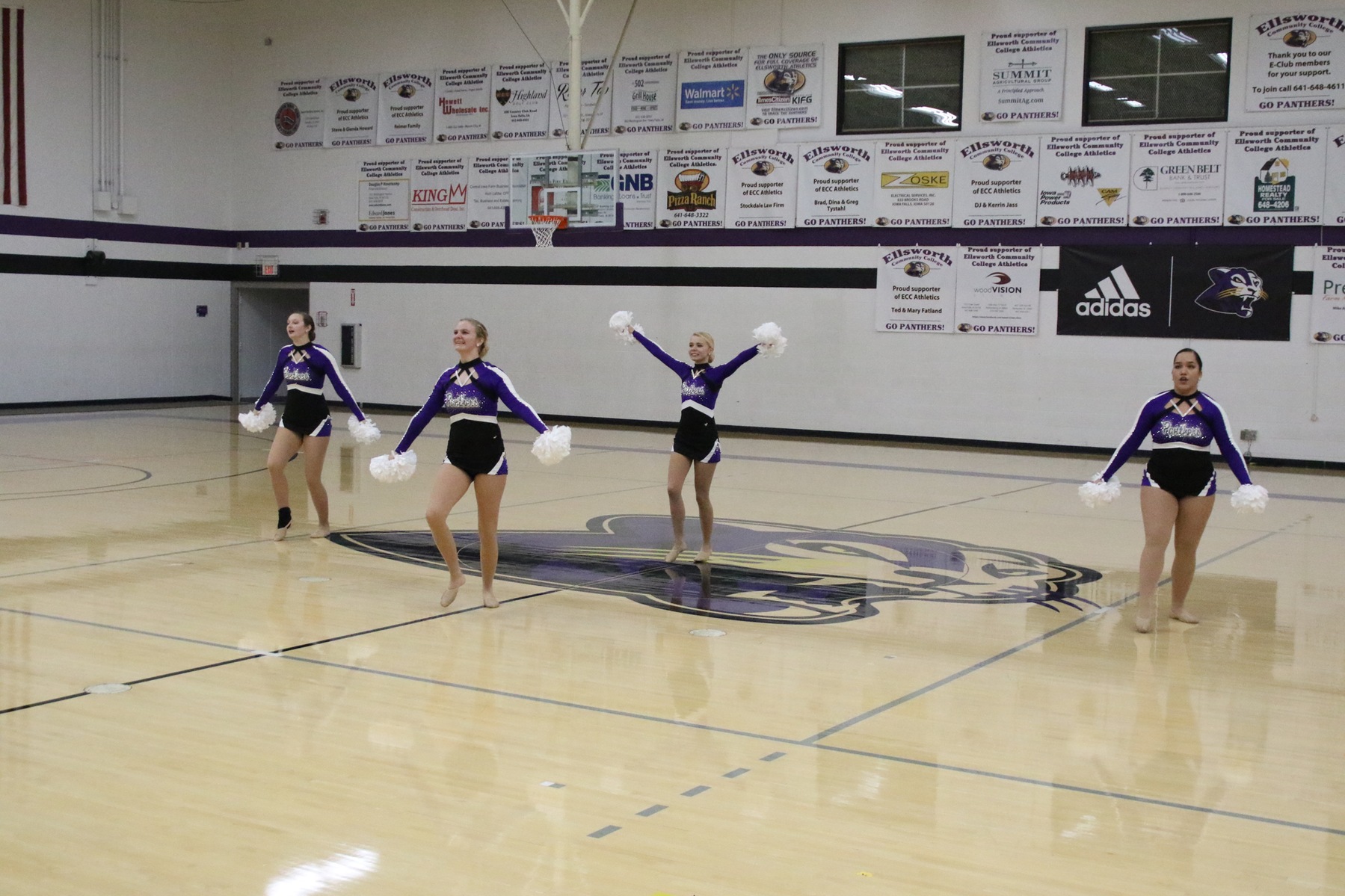 Panthers dance at state, virtually